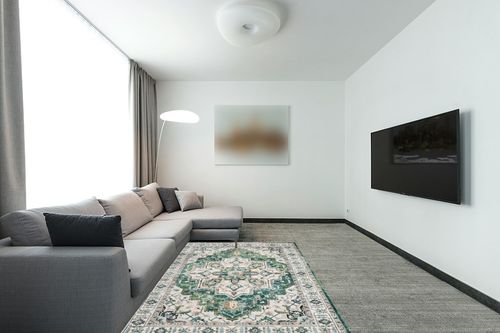 zesthome WashableRug 5x7 Area Rugs,Stain Resistant Rugs for Living Room,Bedroom,Non-Slip Backing Home Decor Rug, Vintage Medallion Pattern Rugs (Green,5'x7') in Modern Living Room with Grey Couch