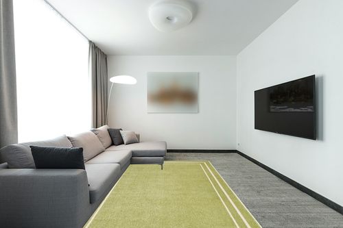 Nourison Essentials Indoor/Outdoor Green Ivory 6' x 9' Area -Rug, Easy -Cleaning, Non Shedding, Bed Room, Living Room, Dining Room, Backyard, Deck, Patio (6x9) in Modern Living Room with Grey Couch