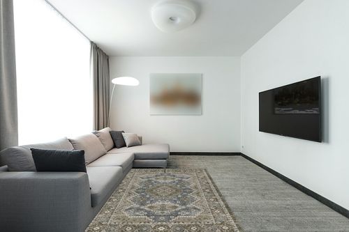 Stain Resistant Washable Rug in Modern Living Room with Grey Couch