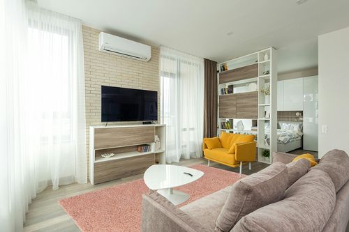 Pink Shag Rug 6x9 in Light Modern Living Room with TV