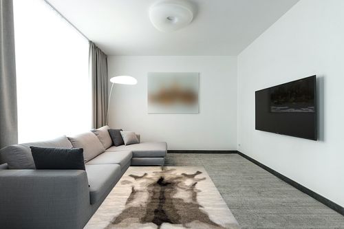 Makymo 15 Rugs Set - 5x7 Faux Sheepskin Area Rug - Soft & Fluffy High Density Acrylic Plush Throw for Bedroom, Living Room & Bedside - Foldable & Stylish in Modern Living Room with Grey Couch
