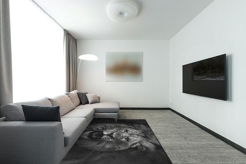 DNOVING Large Black and White Lion Area Rug 5x7ft Non Slip, Rubber Backed Perfect for Living Room, Bedroom, Office, Dining Room Timeless and Classic Decor Indoor Fluffy Area Rug in Modern Living Room with Grey Couch