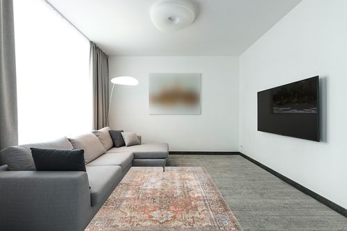 ‎Terracotta / Sky ‎Traditional ‎Stain-resistant ‎Living Room, Bedroom, Dining Room ‎Area Rug in Modern Living Room with Grey Couch