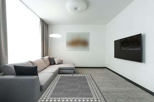 Grey Modern Non Slip Living Room Area Rug in Modern Living Room with Grey Couch