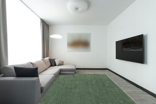 8x10 Green fluffy rug in Modern Living Room with Grey Couch