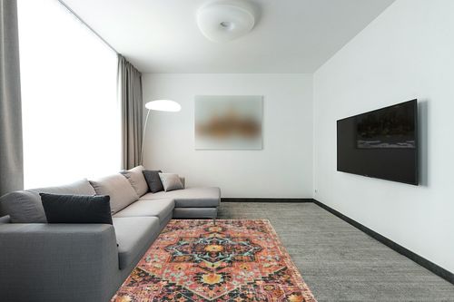 Lahome Boho Medallion Area Rug - 5x7 Pink Rugs for Bedroom Girls Washable Large Rug for Living Room, Vintage Printed Non Slip Soft Indoor for Dining Room Dressing Room Basement, Hot Pink in Modern Living Room with Grey Couch