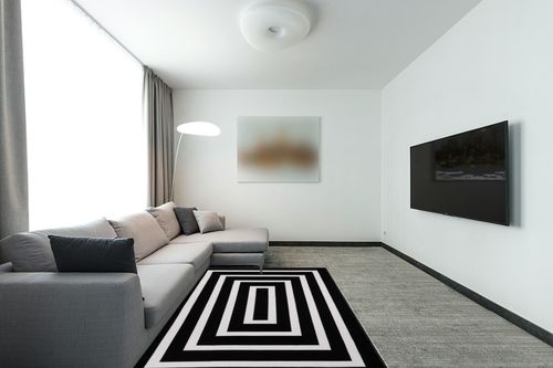Lanffia Black and White Area Rug 5x7ft Contrasting Geometric Modern Stripe Symmetrical Indoor Outdoor Rug Machine Washable Extra Large Rugs Woven Cotton Floor Carpet for Living Room/Balcony/Backyard in Modern Living Room with Grey Couch