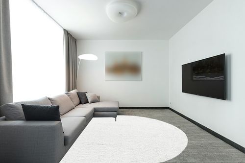 White 8x10 Oval fluffy rug in Modern Living Room with Grey Couch