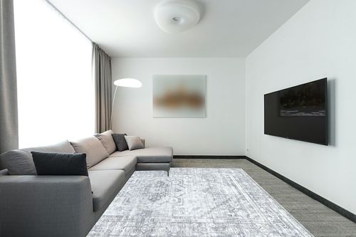 BRICHOEE Large Vintage Washable Rug 8x10 Silver Gray Low-Pile Indoor Floral Print Carpet Non Slip Printed Persian Boho Area Rug for Living Room in Modern Living Room with Grey Couch