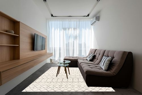 Grey/Off-white Rug Stain Resistant, Pet friendly Kitchen, Bedroom, Living Room, Hallway, Dining Room Area Rug in Grey Living Room with Brown Couch