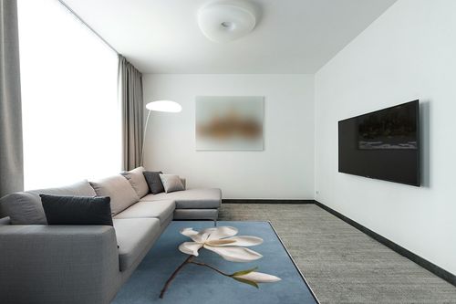 DNOVING Area Rug 5x7ft Large Non Slip Rubber Backed Fluffy Rug for Bedroom, Stain Resistant Decor for Living Room, Office, Dining Room Elegant White Magnolia Design in Modern Living Room with Grey Couch