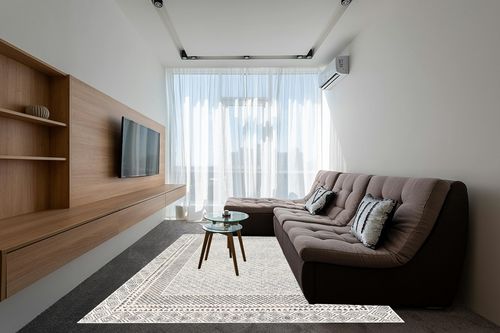 ‎Beige ‎Transitional ‎Non Slip ‎Living Room ‎Area Rug in Grey Living Room with Brown Couch