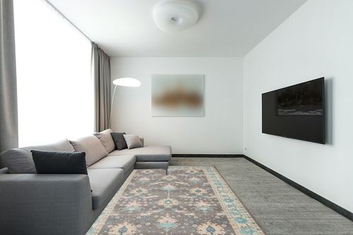 Nourison Tranquil Persian Grey/Pink 6' x 9' Area -Rug, Easy -Cleaning, Non Shedding, Bed Room, Living Room, Dining Room, Kitchen (6x9) in Modern Living Room with Grey Couch