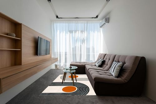 Mid-Century Modern Minimalist Circles and Lines Pattern Soft Wool Area Rug 6x9 Washable Boho Carpet for Living Room Bedroom No-Slip Thick Dining Room Rug Indoor Floorcover Mat in Grey Living Room with Brown Couch