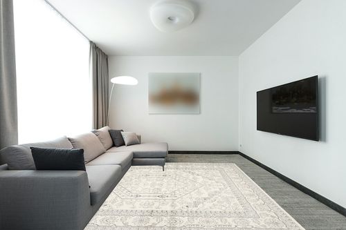 ‎Ivory/Silver ‎Rectangle ‎Stain Resistant,Non Shedding ‎Living Room ‎Area Rug in Modern Living Room with Grey Couch