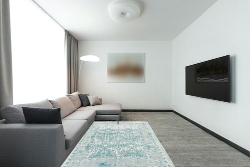 Vintage Jute Area Rug in Modern Living Room with Grey Couch