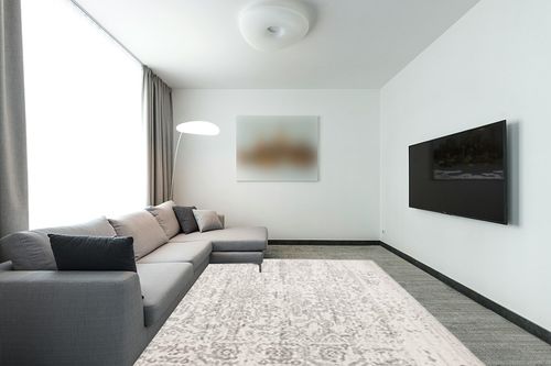 ‎Silver/Ivory ‎Retro ‎Non shedding, Stain Resistant, Pet friendly ‎‎Area Rug in Modern Living Room with Grey Couch