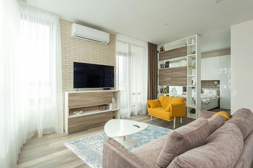 Vintage Jute Area Rug in Light Modern Living Room with TV