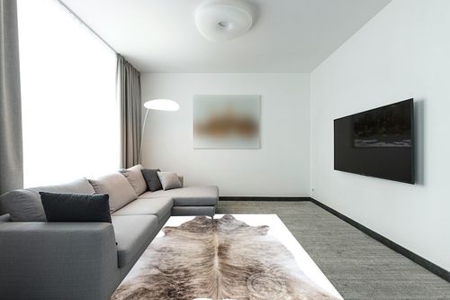 Genuine Light Grey Beige Brindle Cowhide Rug XL 6 x 7-8 ft. 180 x 240 cm in Modern Living Room with Grey Couch