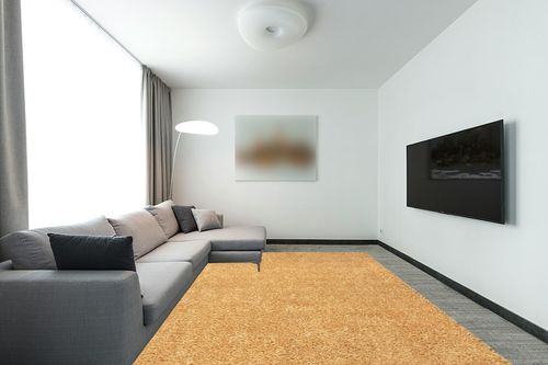 Belleza Shag Area Rug in Modern Living Room with Grey Couch