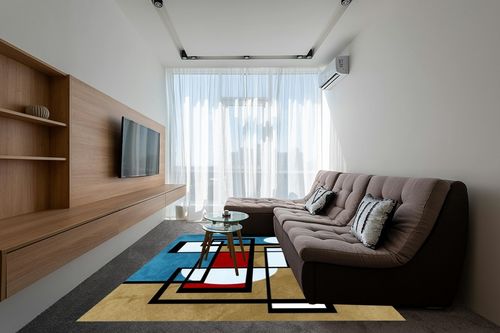 Black White Red Brown Teal Colorful Geometric Modern Area Rug 8x10 Non Slip Washable Carpet for Living Room Bedroom Minimalist Thick Home Office Dining Kitchen Runner Rug in Grey Living Room with Brown Couch