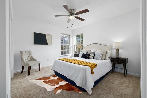 Brown and White Cowhide Rug Natural Cow Skin Cow Hide Leather Area Rug Hair On, 5 ft X 6 ft Premium Brown White Large in White and Yellow Modern Bedroom