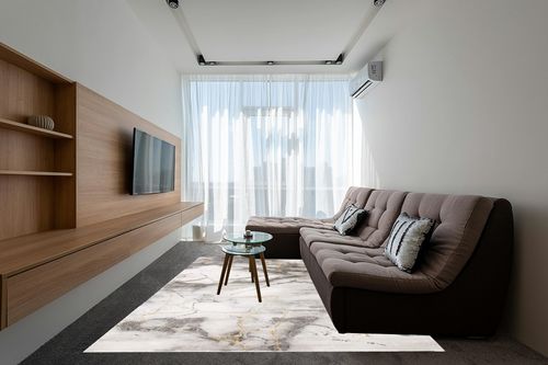 ‎Grey/Gold ‎Contemporary ‎Non Slip Area Rug in Grey Living Room with Brown Couch