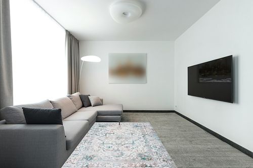 Traditional Persian Rug with Rubber Backing in Modern Living Room with Grey Couch