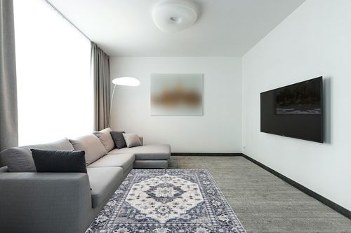 Area Rug Living Room Rugs: 5x7 Large Machine Washable Boho Carpet Vintage Medallion Floral Indoor Non Slip Decor Carpets for Under Dining Table Bedroom Farmhouse Nursery Home Office Blue in Modern Living Room with Grey Couch