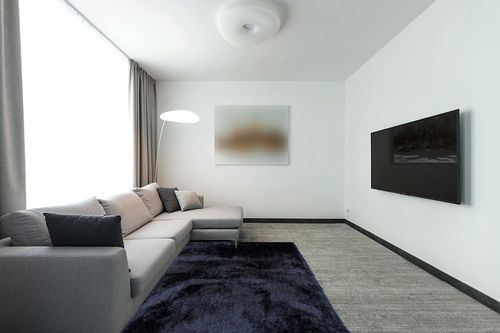 Indoor Bedroom Living Room Solid Plush Pile Shag Shaggy 5x7 Feet Area Rug Carpet Rug Modern Contemporary Decorative Designer Polyester Made Canvas Backing Hand Woven Fluffy Fuzzy Furry Canvas Back in Modern Living Room with Grey Couch
