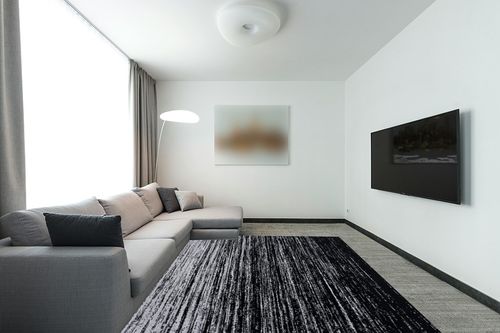 ‎Ivory / Silver ‎Retro ‎Non shedding, Stain Resistant, Pet friendly ‎Living Room ‎Area Rug in Modern Living Room with Grey Couch