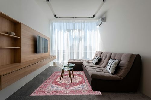 SAFAVIEH Tucson Collection Area Rug - 6' x 9', Red & Pink, Persian Design, Non-Shedding Machine Washable & Slip Resistant Ideal for High Traffic Areas in Living Room, Bedroom (TSN139R) in Grey Living Room with Brown Couch