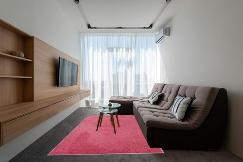 Furnish my Place Modern Plush Solid Color Rug - Pink, 6' x 9', Pet and Kids Friendly Rug. Made in USA, Rectangle, Area Rugs Great for Kids, Pets, Event, Wedding, Living Room in Grey Living Room with Brown Couch