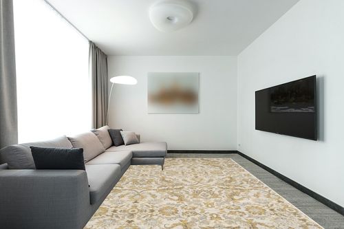 SAFAVIEH Evoke Collection Area Rug - 9' x 12', Ivory & Gold, Shabby Chic Oriental Design, Non-Shedding & Easy Care, Ideal for High Traffic Areas in Living Room, Bedroom (EVK238S) in Modern Living Room with Grey Couch