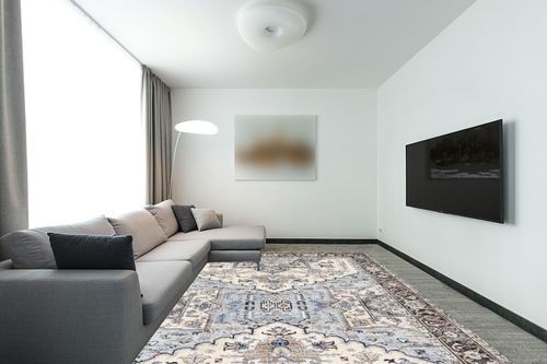 Area Rug Living Room Rugs - 9x12 Soft Machine Washable Oriental Persian Floral Distressed Rug Large Indoor Floor Carpet for Bedroom Under Dining Table Home Office Decor - Cream Blue in Modern Living Room with Grey Couch