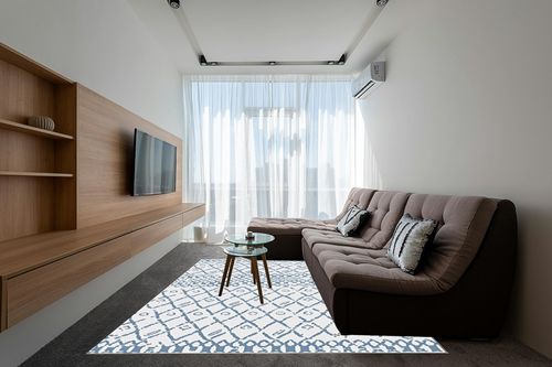 Boho Rug for Living Room 8x10 Area Rugs in Grey Living Room with Brown Couch