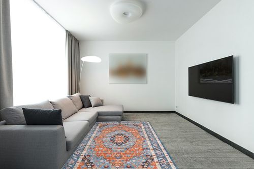 IMINROME Persian Rugs for Living Room, Vintage Rugs for Bedroom, Home, Office, Oriental Rug, 5 x 8 in Modern Living Room with Grey Couch