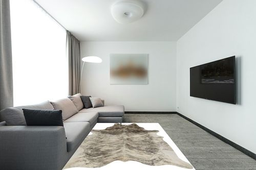 rodeo Exotic Brazilian Grey Brindle Cowhide Rug in Modern Living Room with Grey Couch