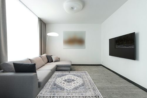 befbee 5x7 Area Rugs for Living Room,Stain Resistant Washable Rug,Non-Slip Backing Rugs for Bedroom,Kitchen,Printed Vintage Home Decor Rug (Grey/Beige, 5'x7') in Modern Living Room with Grey Couch