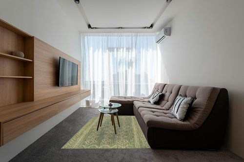 nuLOOM Serna Moroccan Indoor/Outdoor Area Rug, 5x8, Sage in Grey Living Room with Brown Couch