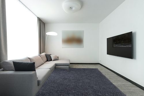 Super Soft Plush Large Rug in Modern Living Room with Grey Couch
