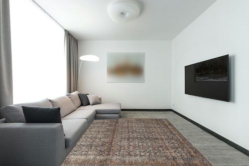 ‎Ink / Salmon ‎Oriental  ‎Living Room ‎Area Rug in Modern Living Room with Grey Couch