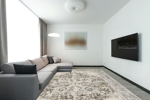 Area Rug Living Room Rugs - 9x12 Washable Boho Rug Vintage Oriental Distressed Farmhouse Small Thin Indoor Carpet for Living Room Bedroom Under Dining Table Home Office - Brown in Modern Living Room with Grey Couch