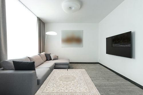 Area Rug Living Room Rugs: 5x7 Large Machine Washable Non Slip Thin Carpet Soft Indoor Luxury Floral Distressed Carpets for Under Dining Table Farmhouse Bedroom Nursery Home Office Beige in Modern Living Room with Grey Couch