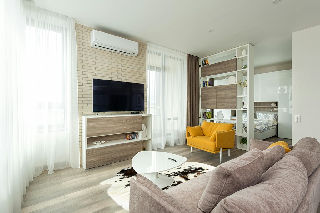 Cowhide rug decor ideas in Light Modern Living Room with TV