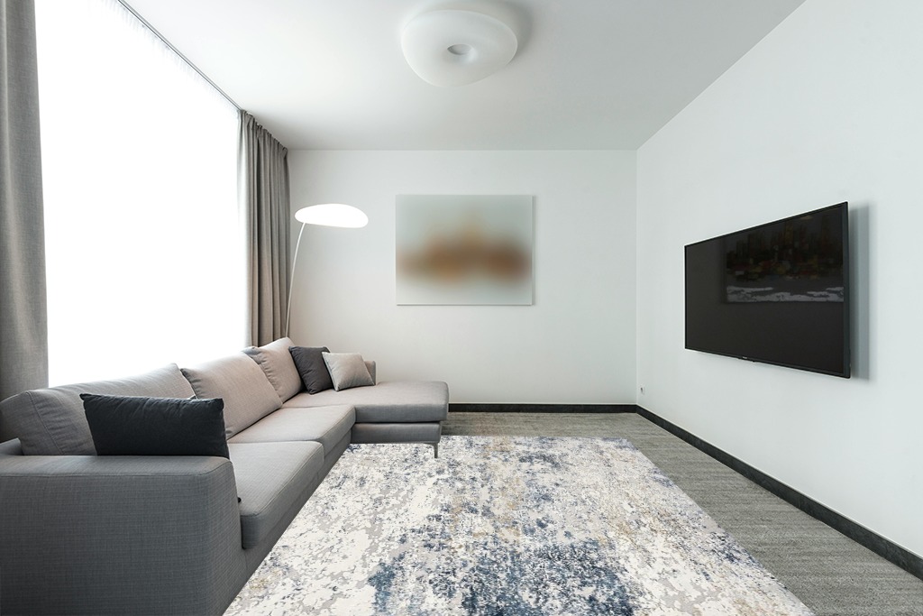 Farmhouse rug ideas in Modern Living Room with Grey Couch