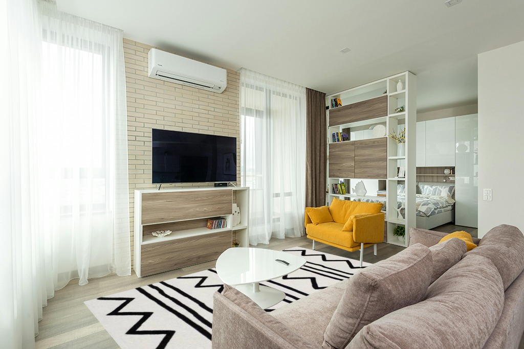 Are black rugs a bad idea in Light Modern Living Room with TV