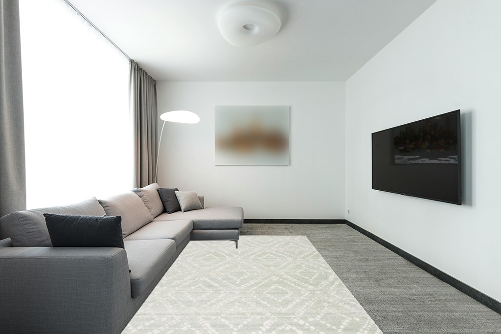 Green rug ideas in Modern Living Room with Grey Couch