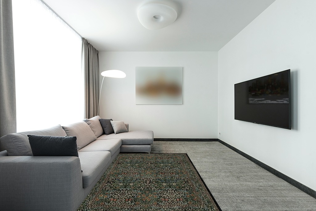 Rug over carpet ideas in Modern Living Room with Grey Couch