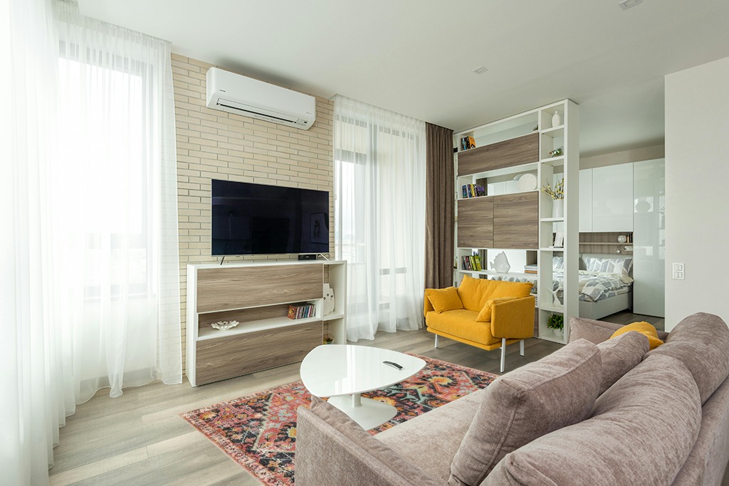 Decorating with persian rugs ideas in Light Modern Living Room with TV
